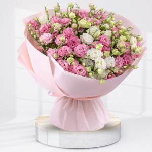 Harmony Pink and White